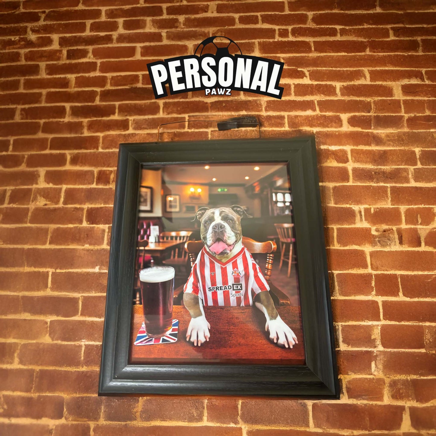 Personalised Dog/Cat Football Image