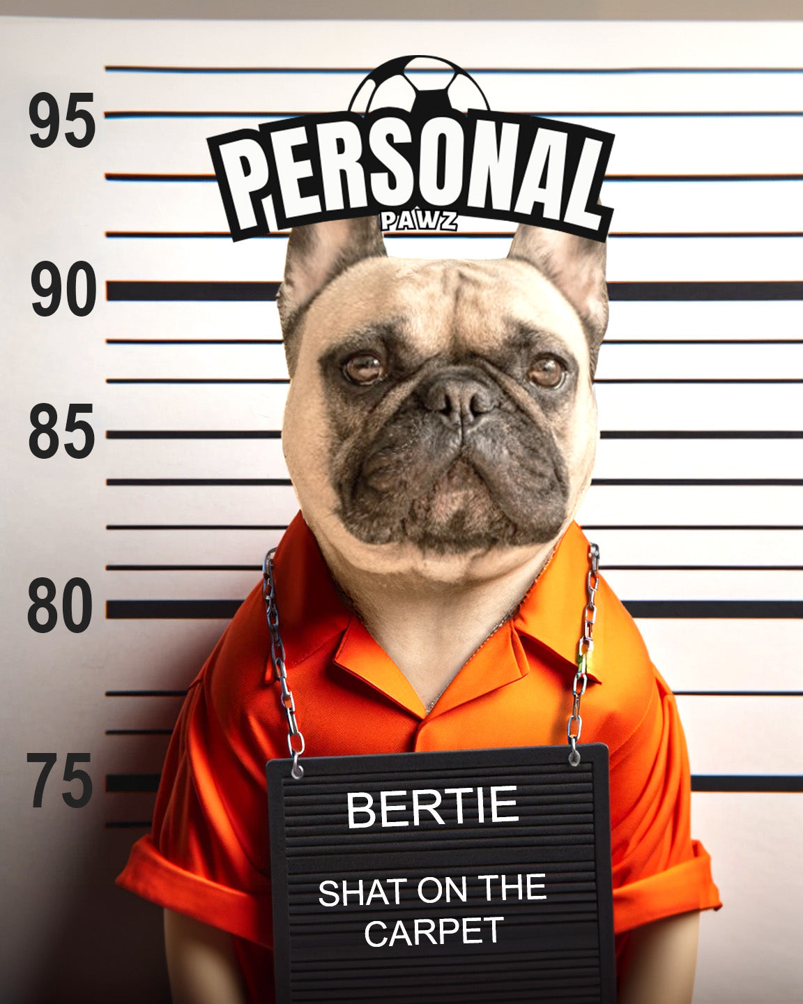 Personalised Prisoner Dog/Cat